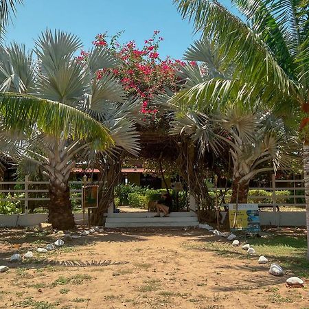Coccoloba Beach Hostel Dibulla Esterno foto